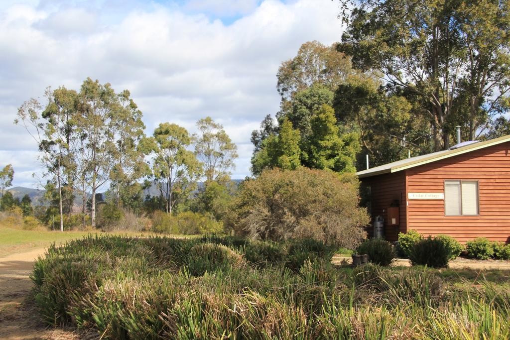 Cabins On Halls Pokolbin Exterior foto